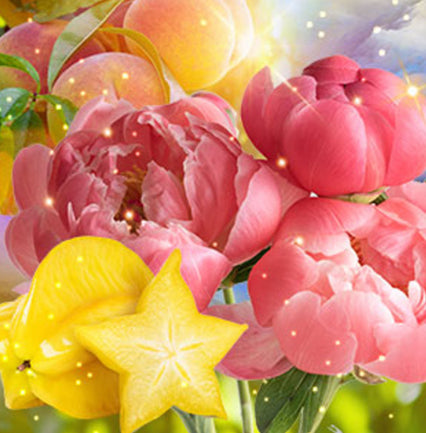Wax Melts - Clamshell